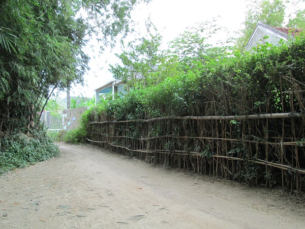 hàng rào thôn quê