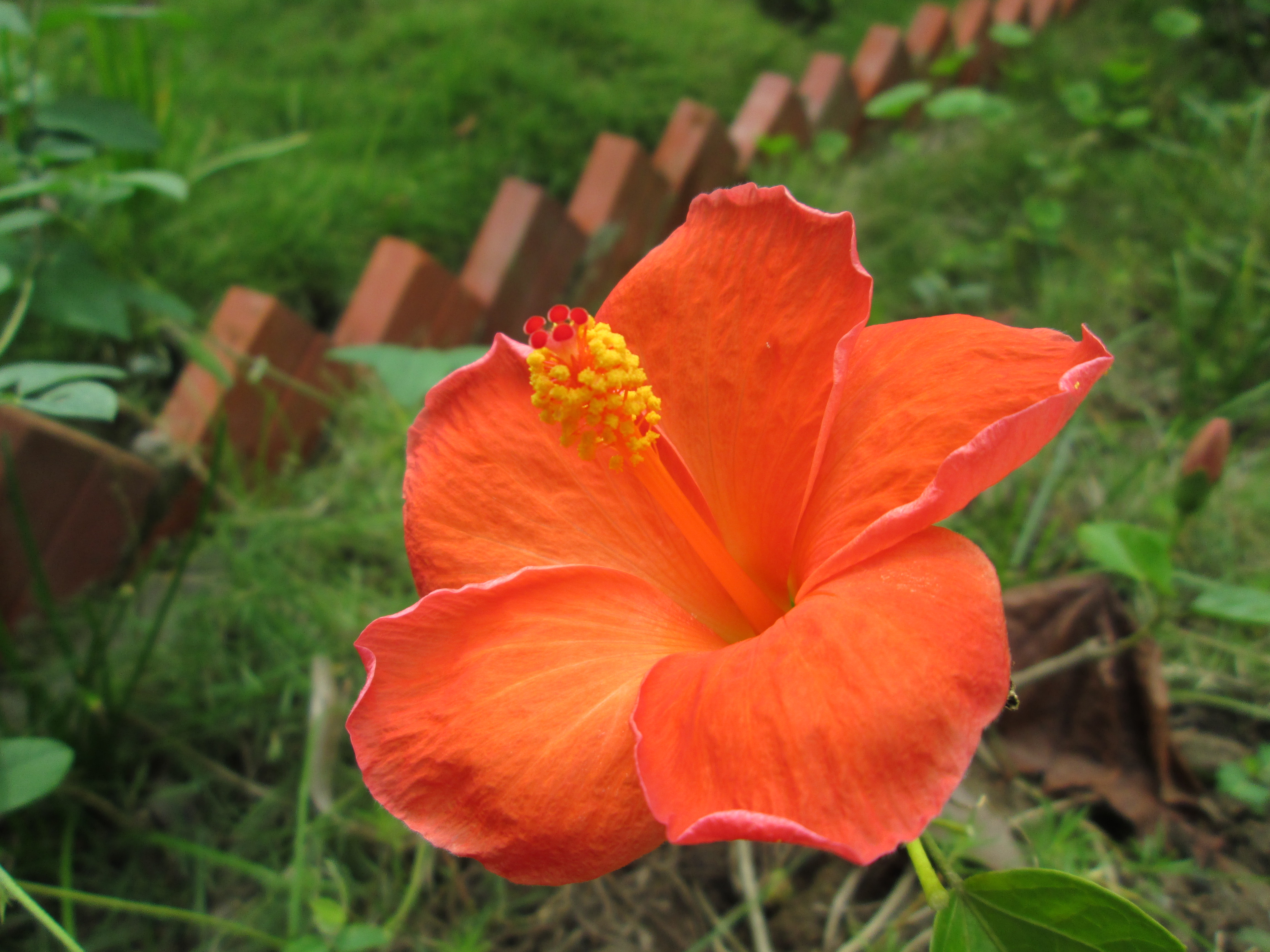 1- CÂU CHUYỆN VĂN HỌC