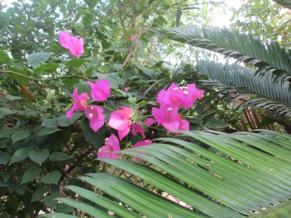 HỎI RẰNG NÀY KHÚC Ở ĐÂU?