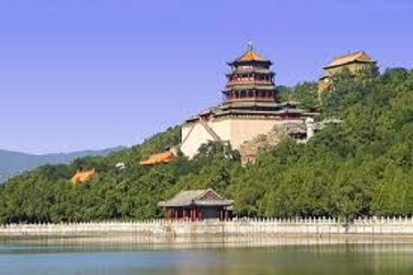 HOÀNG HẠC LÂU-BÀI THƠ ĐẦU GÀ ĐÍT VỊT BỤNG CON BÒ TÓT 