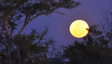 NGƯỜI LÊN NGỰA, KẺ CHIA BÀO...