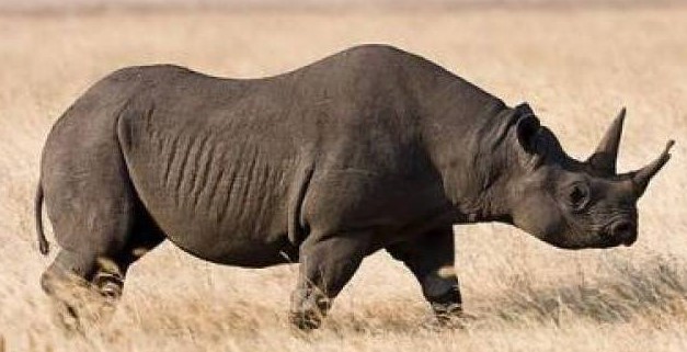 DI SẢN CỦA TỔ SƯ MINH ĐĂNG QUANG...