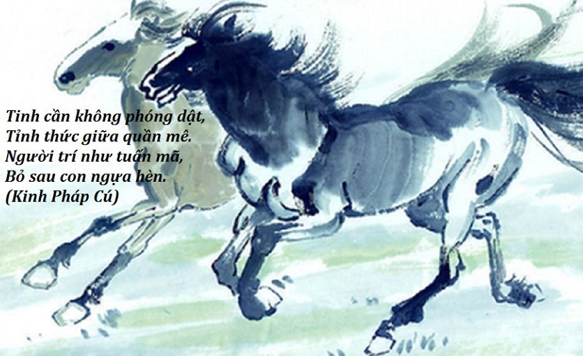 AI ĐI TÌM AI SUỐT ĐỜI...