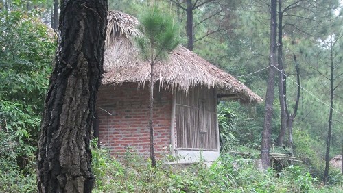 1- ẤN CHỨNG CỦA ĐỨC PHẬT