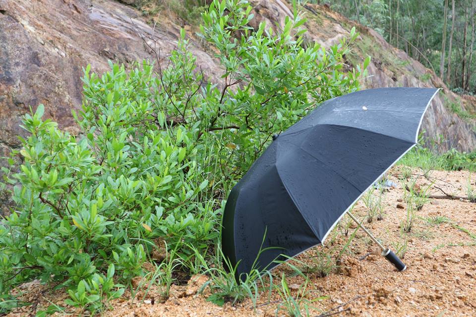 2- BÀI THƠ CUỐI CÙNG