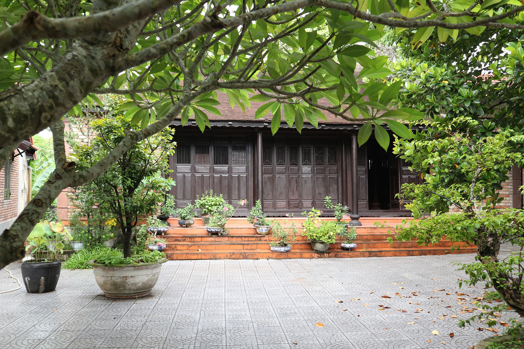 nhà trưng bày lịch sử Tây Sơn