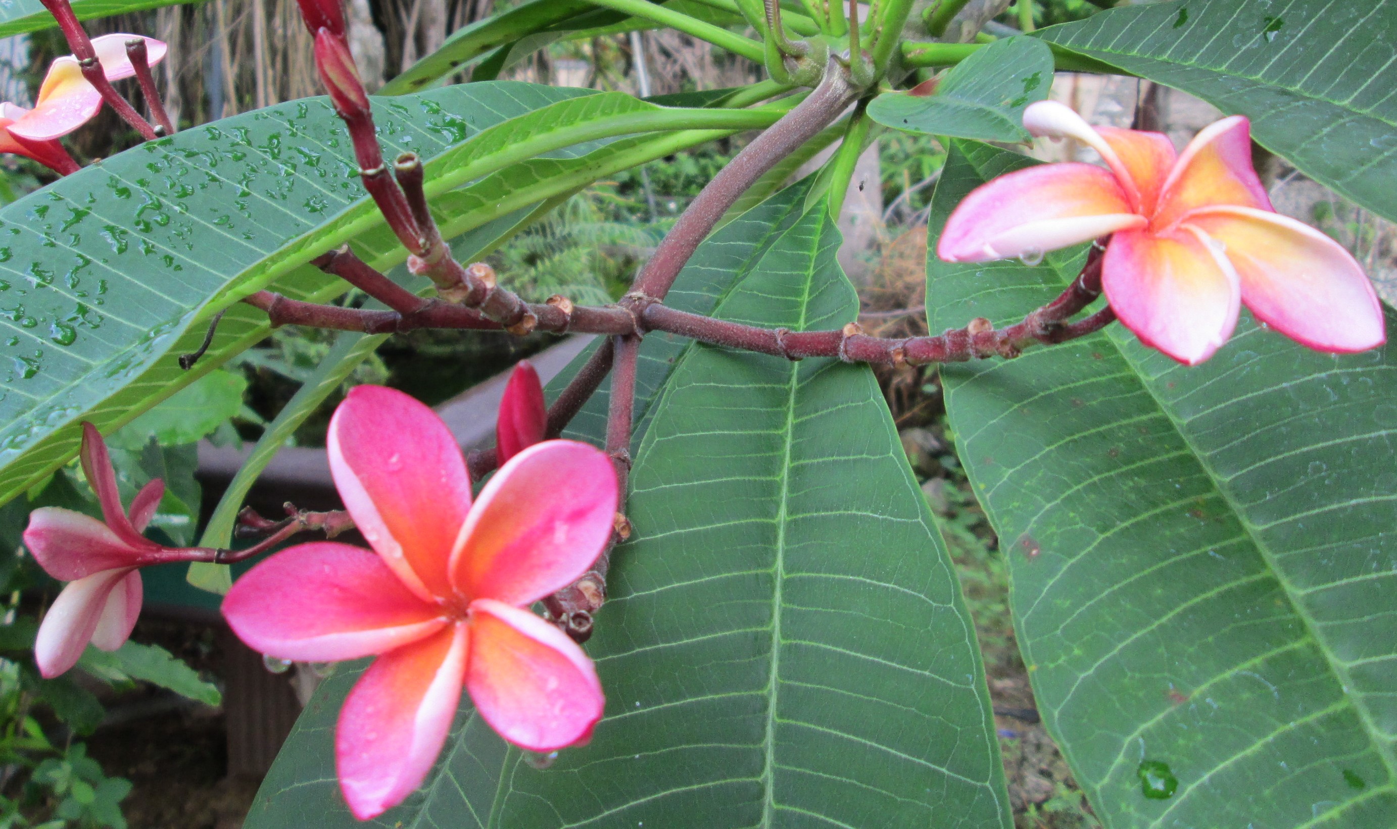 TIN TỨC TỪ MIỀN HOANG VU