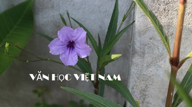 NGHI ÁN VĂN HỌC: AI LÀ TÁC GIẢ HAI SẮC HOA TIGÔN?